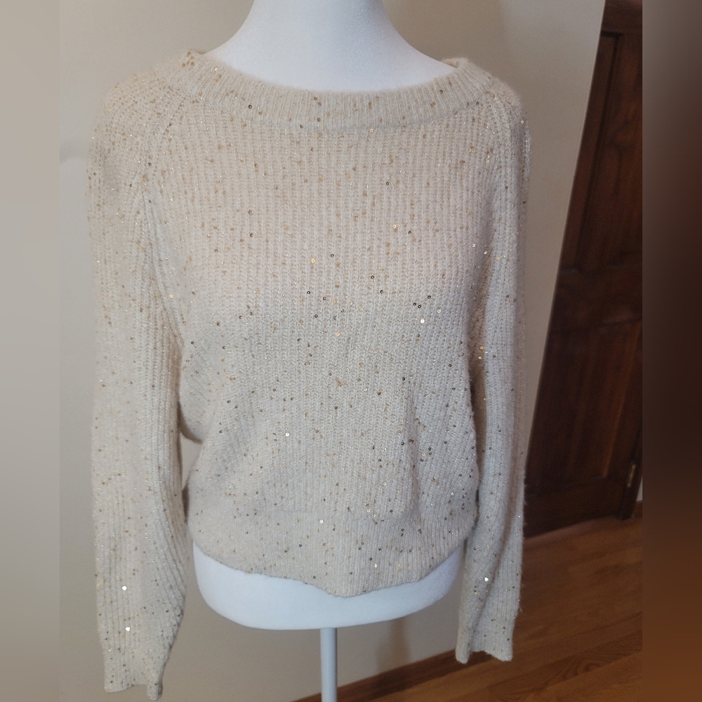 Express Cream Sweater with Gold Details